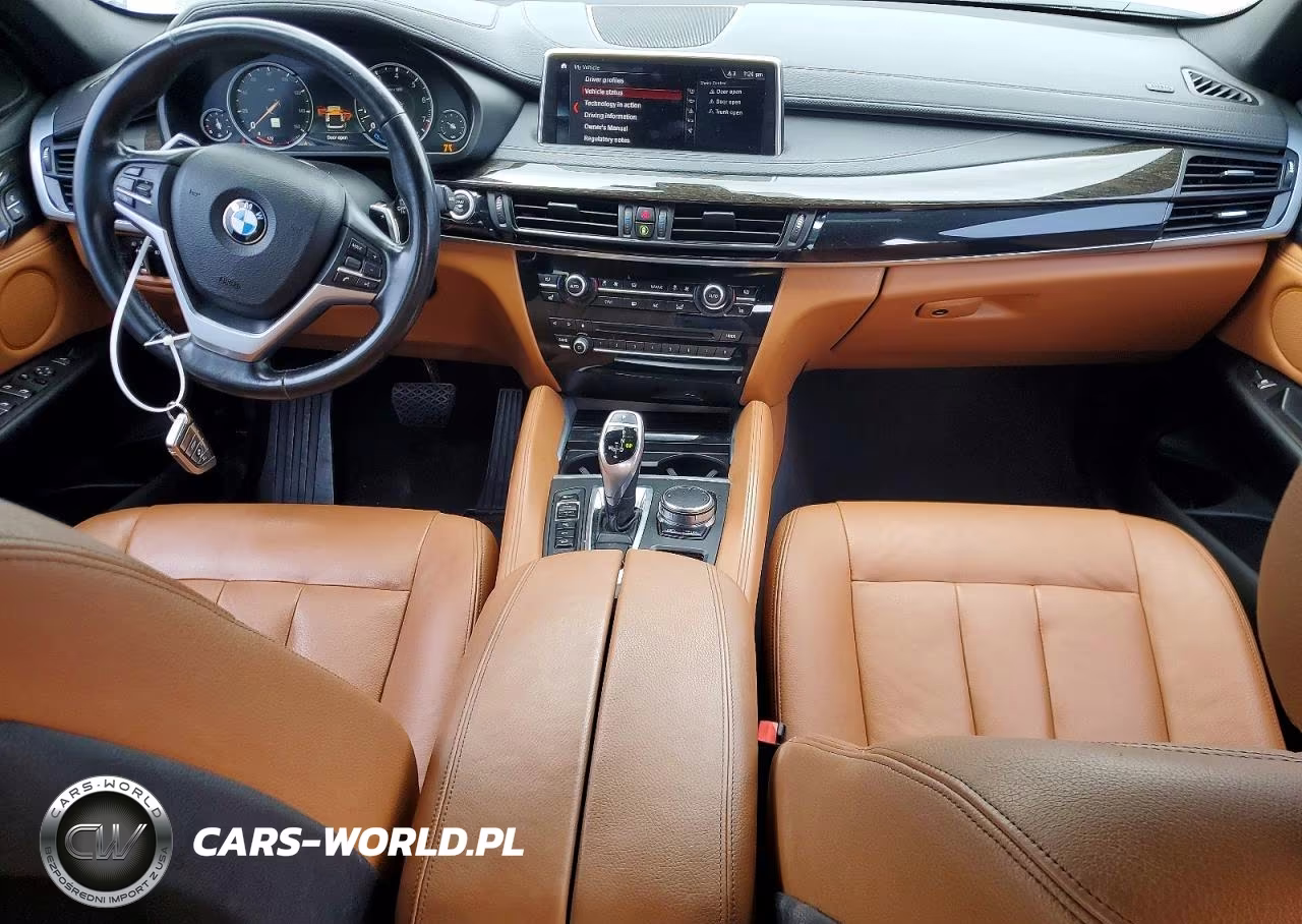 2019 BMW X6 xDrive35I VIN:5UXKU2C54K0Z64716 - 8