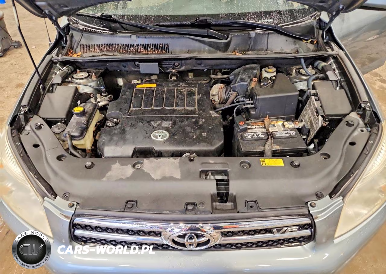 2006 Toyota Rav4 Limited VIN:JTMBK31V565009254 - 12