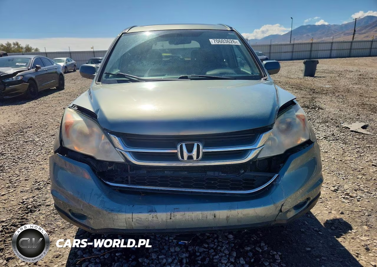 2010 Honda Cr-V Exl VIN:5J6RE4H73AL099599 - 5