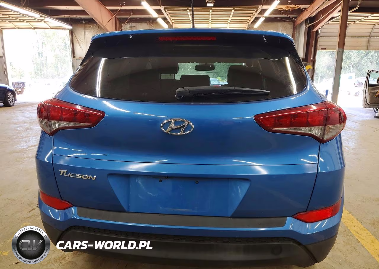 2016 Hyundai Tucson Se VIN:KM8J33A46GU202080 - 6