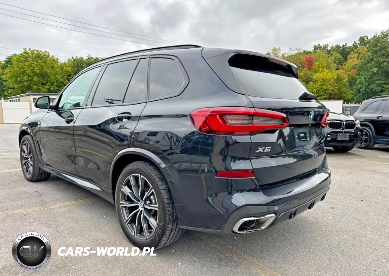 2019 BMW X5 xDrive50I VIN:5UXJU2C53KLN64205 - 2