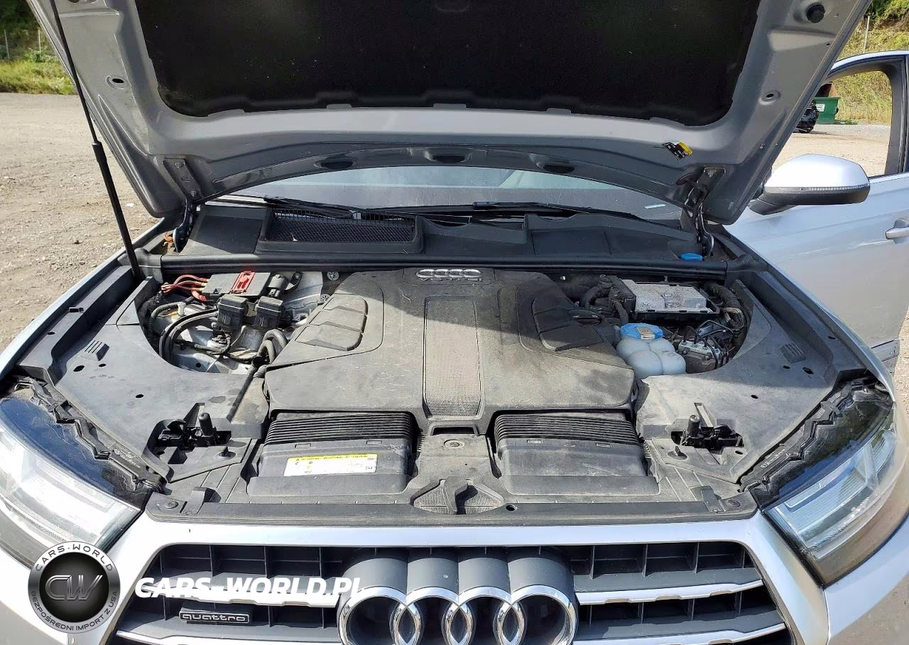 2017 Audi Q7 Premium Plus VIN:WA1LAAF72HD029003 - 12