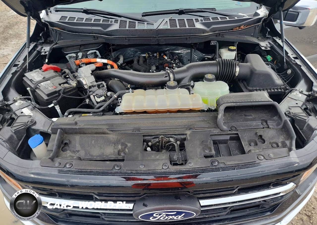2024 Ford F150 Xlt VIN:1FTFW3LD4RFA08993 - 11