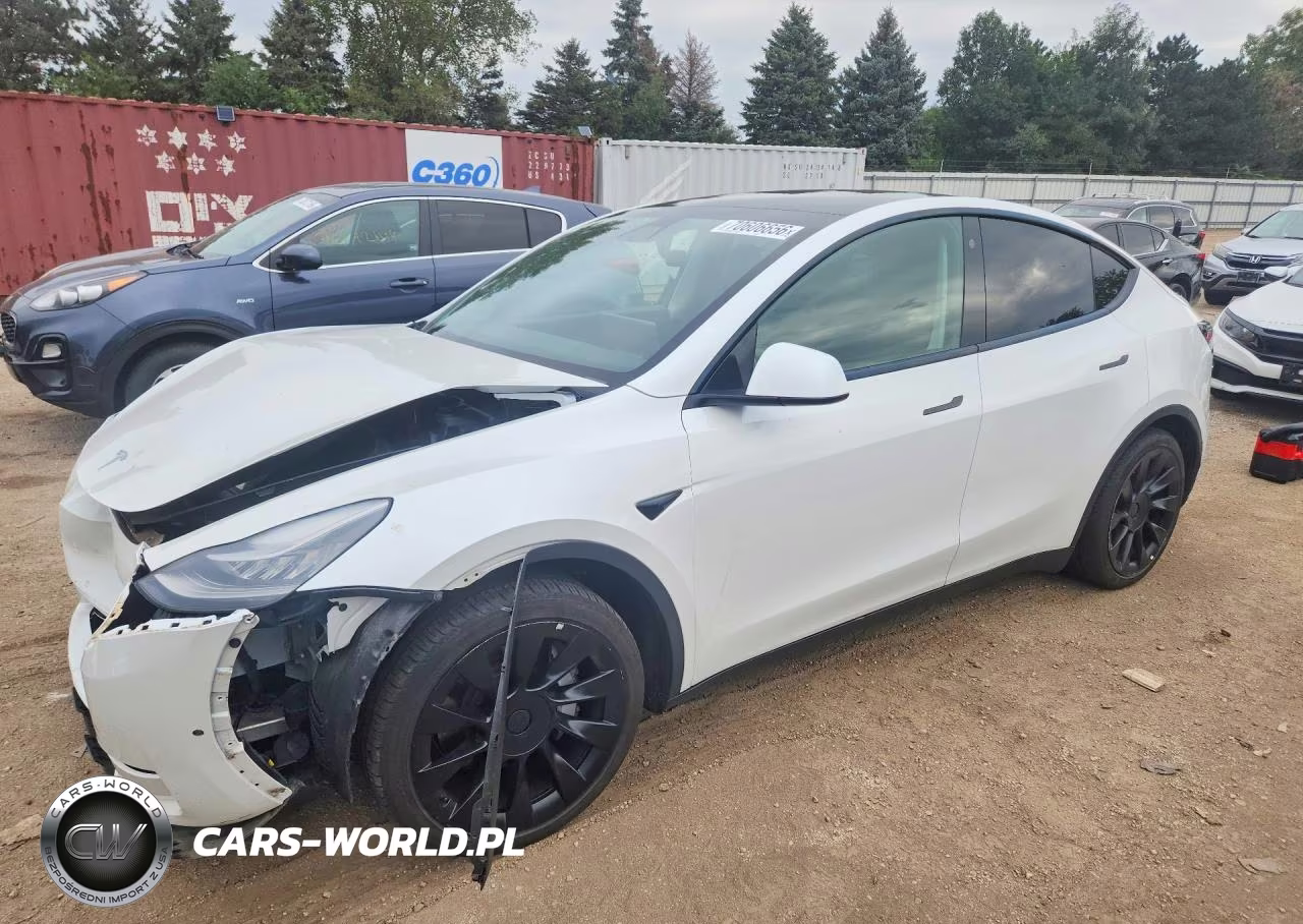 2021 Tesla Model Y VIN:5YJYGDEE0MF193817 - 1