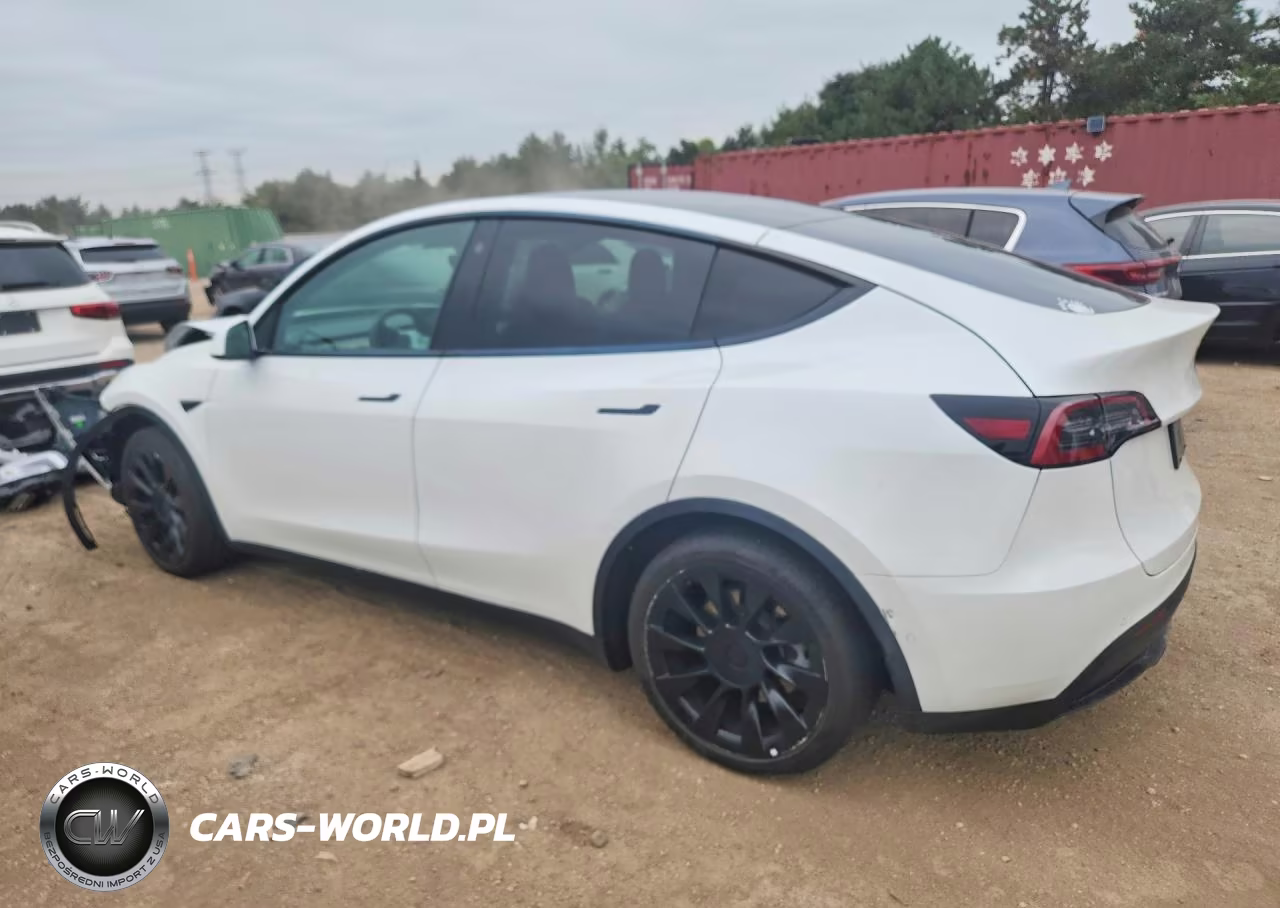 2021 Tesla Model Y VIN:5YJYGDEE0MF193817 - 2