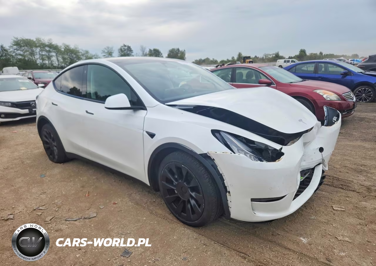 2021 Tesla Model Y VIN:5YJYGDEE0MF193817 - 4