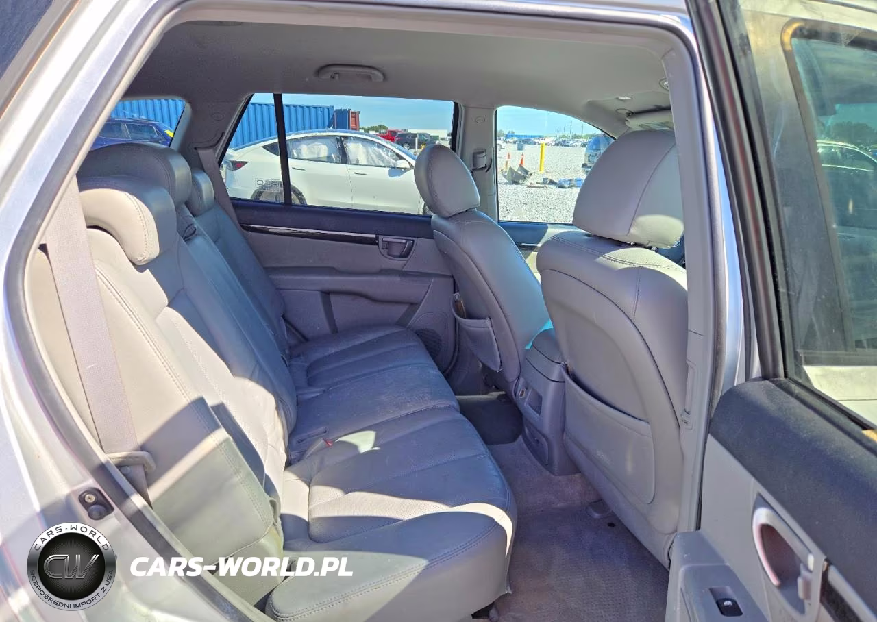 2007 Hyundai Santa Fe Se VIN:5NMSH13E97H107489 - 10