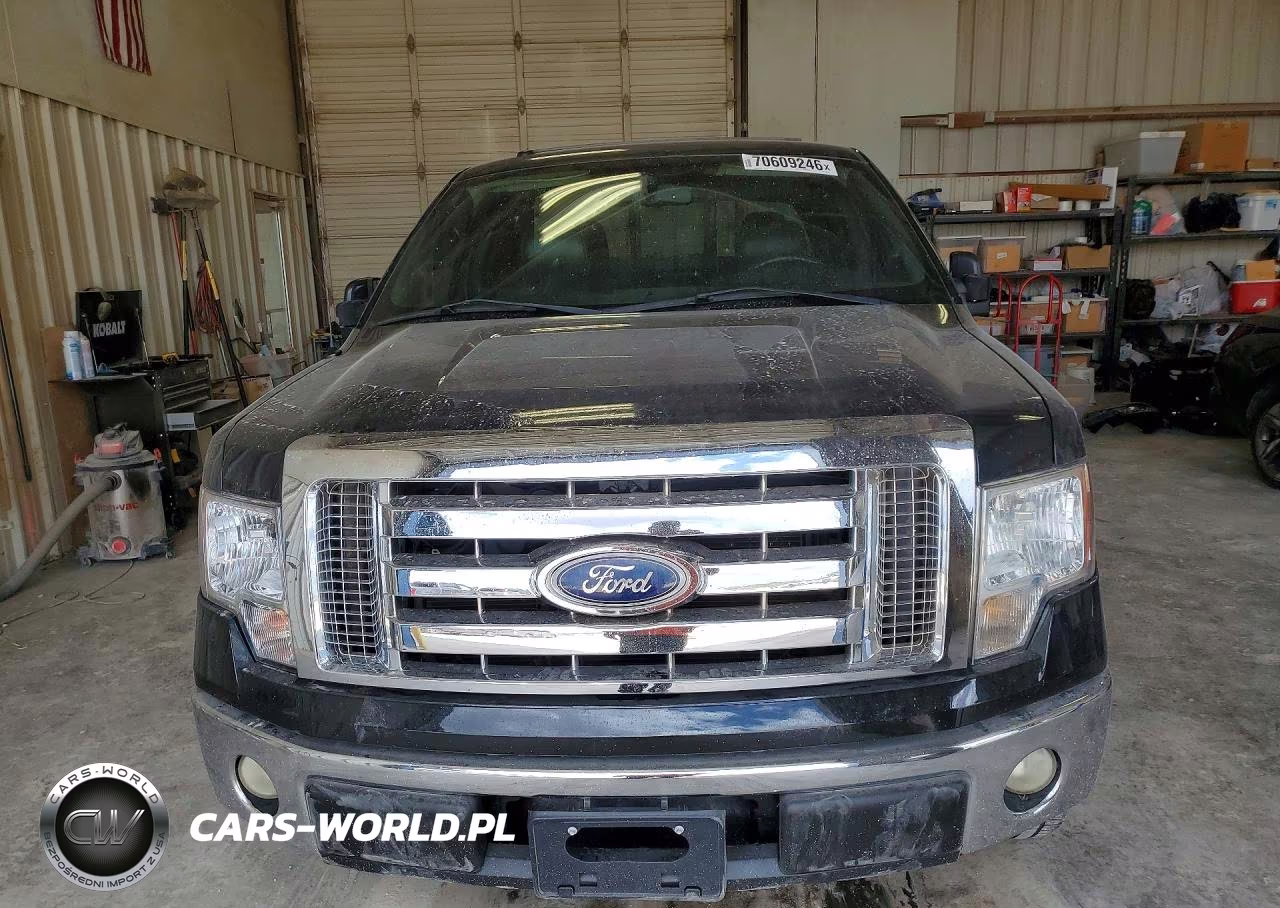 2010 Ford F150 Supercrew VIN:1FTFW1CV5AFA87186 - 5