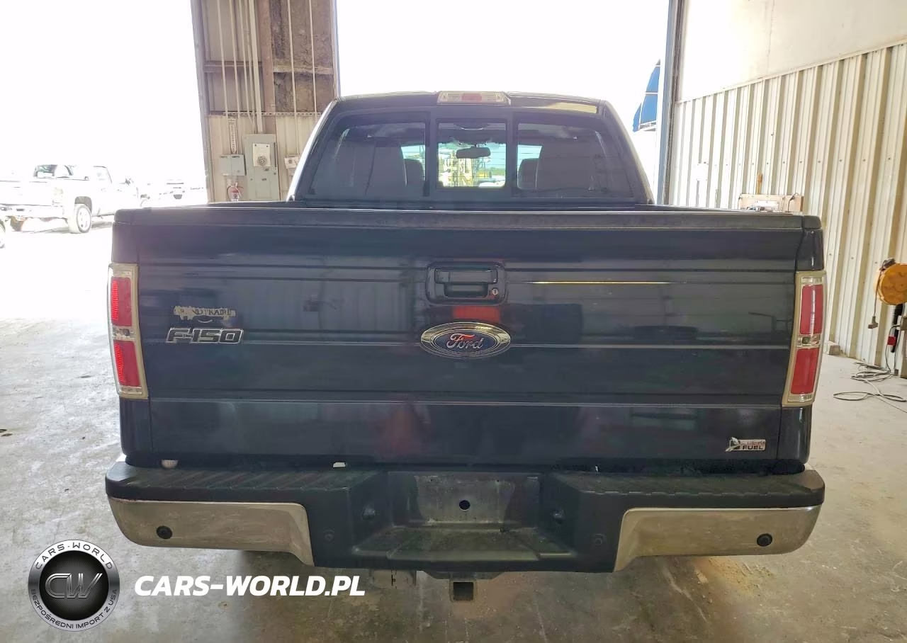 2010 Ford F150 Supercrew VIN:1FTFW1CV5AFA87186 - 6