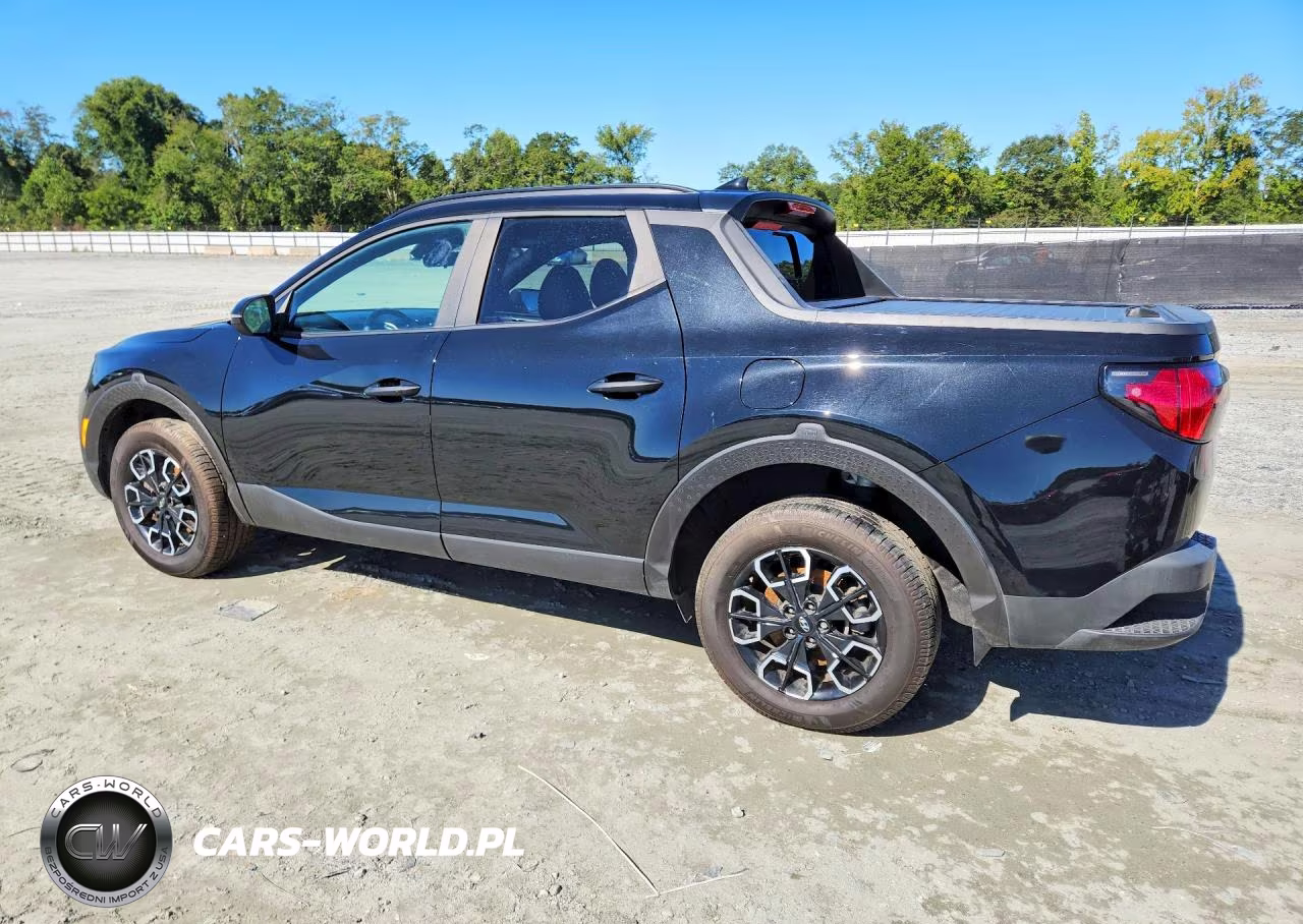 2024 Hyundai Santa Cruz Sel VIN:5NTJCDAE4RH097041 - 2