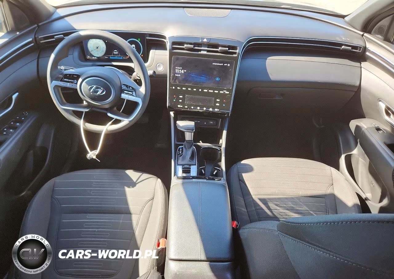 2024 Hyundai Santa Cruz Sel VIN:5NTJCDAE4RH097041 - 8