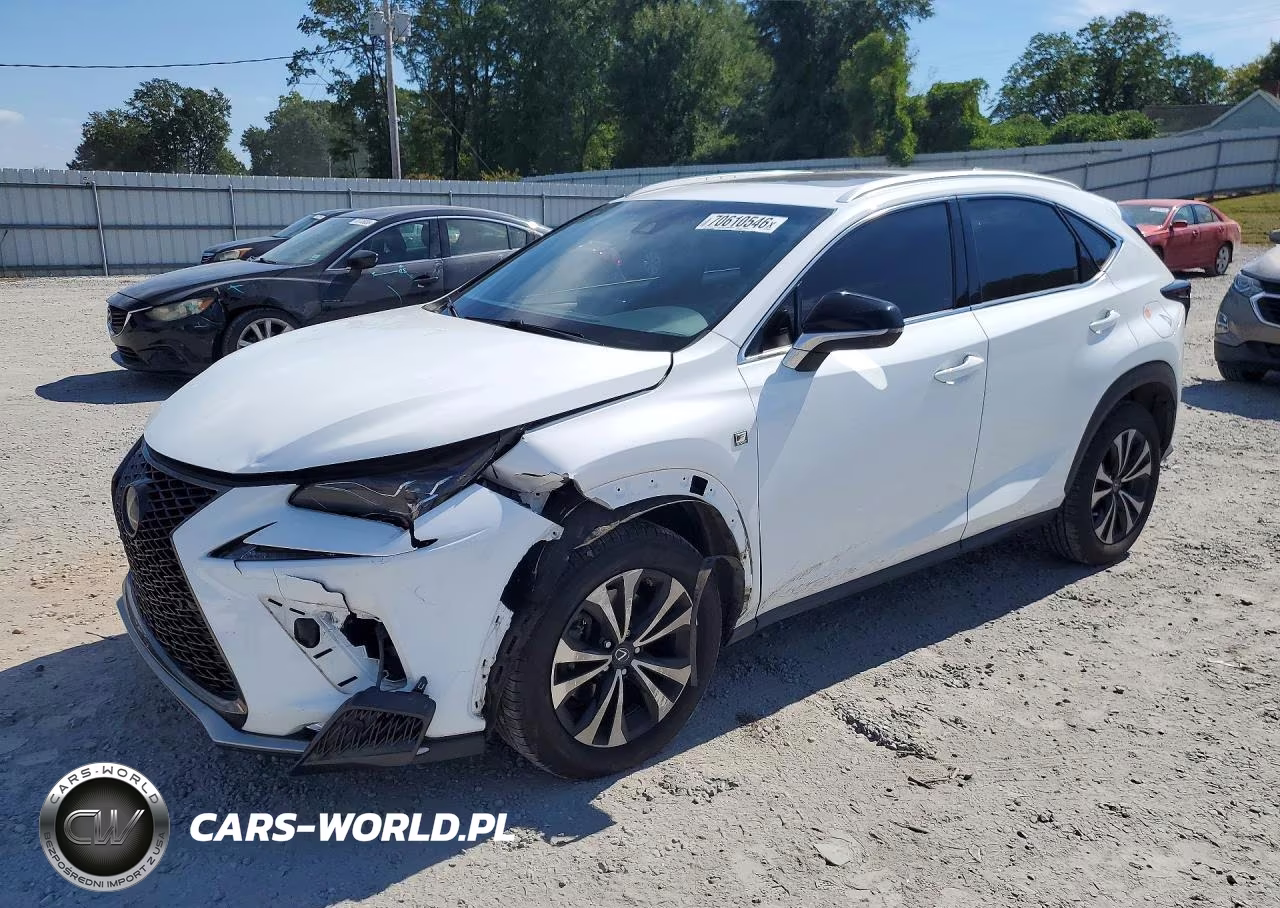 2019 Lexus Nx 300 F Sport VIN:JTJBARBZ0K2209605 - 1