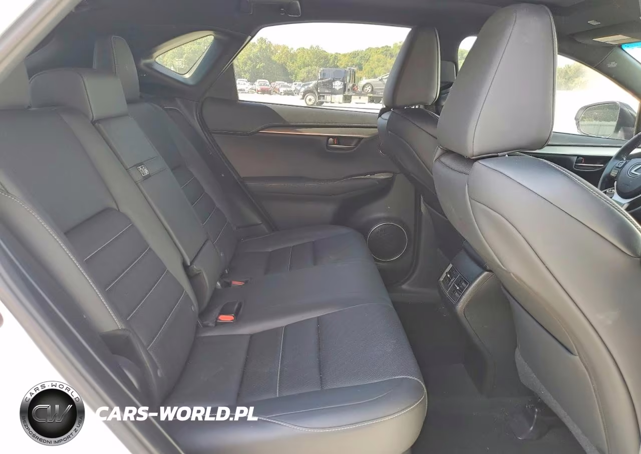 2019 Lexus Nx 300 F Sport VIN:JTJBARBZ0K2209605 - 10