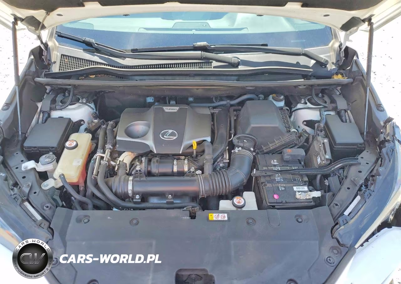 2019 Lexus Nx 300 F Sport VIN:JTJBARBZ0K2209605 - 11