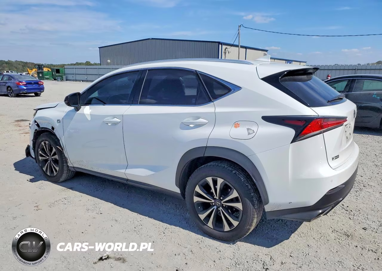 2019 Lexus Nx 300 F Sport VIN:JTJBARBZ0K2209605 - 2