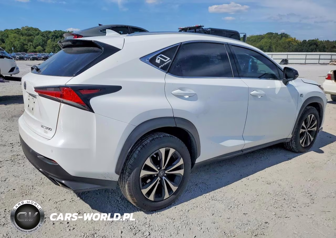 2019 Lexus Nx 300 F Sport VIN:JTJBARBZ0K2209605 - 3