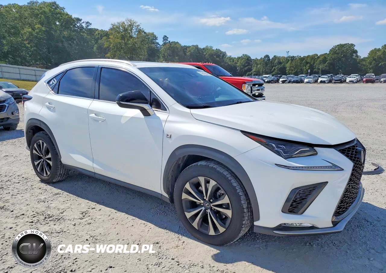 2019 Lexus Nx 300 F Sport VIN:JTJBARBZ0K2209605 - 4