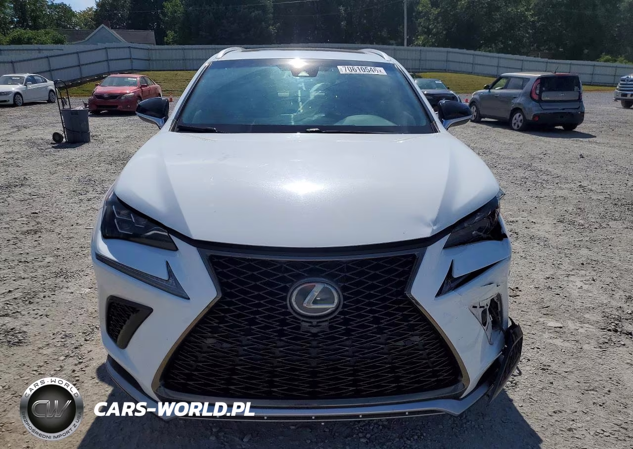 2019 Lexus Nx 300 F Sport VIN:JTJBARBZ0K2209605 - 5