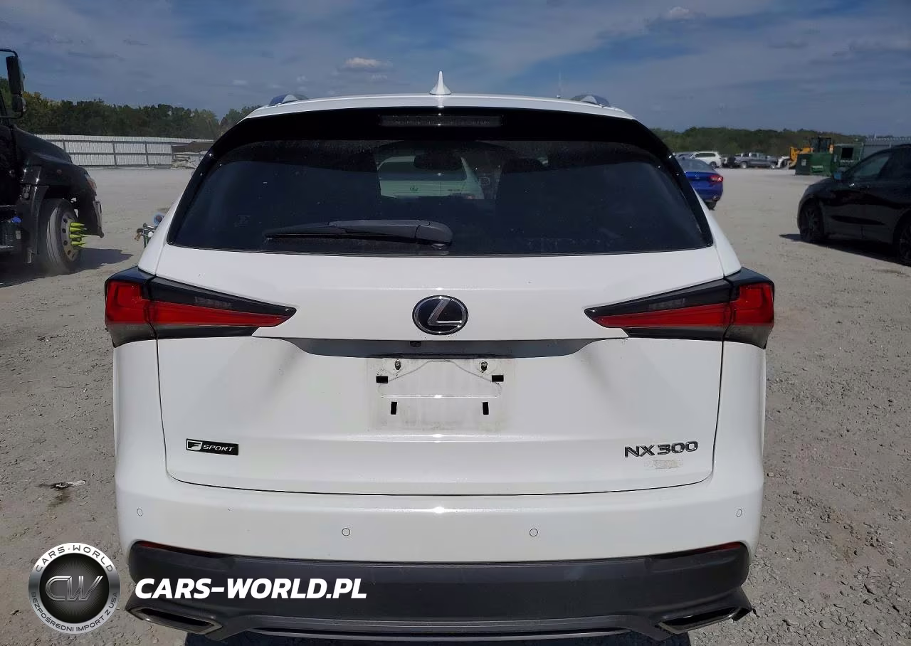 2019 Lexus Nx 300 F Sport VIN:JTJBARBZ0K2209605 - 6