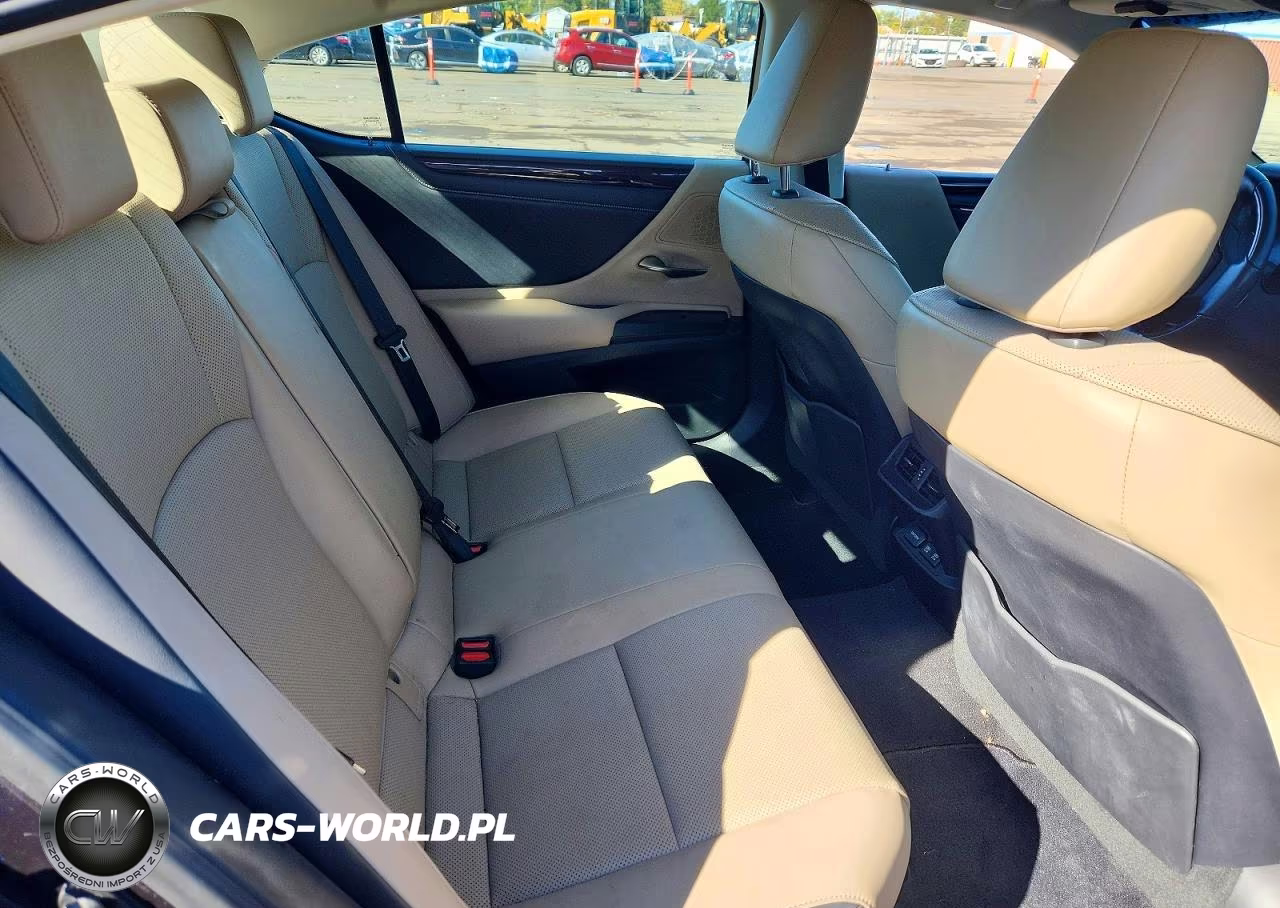 2019 Lexus Es 300H VIN:58AB21B1XKU004393 - 10