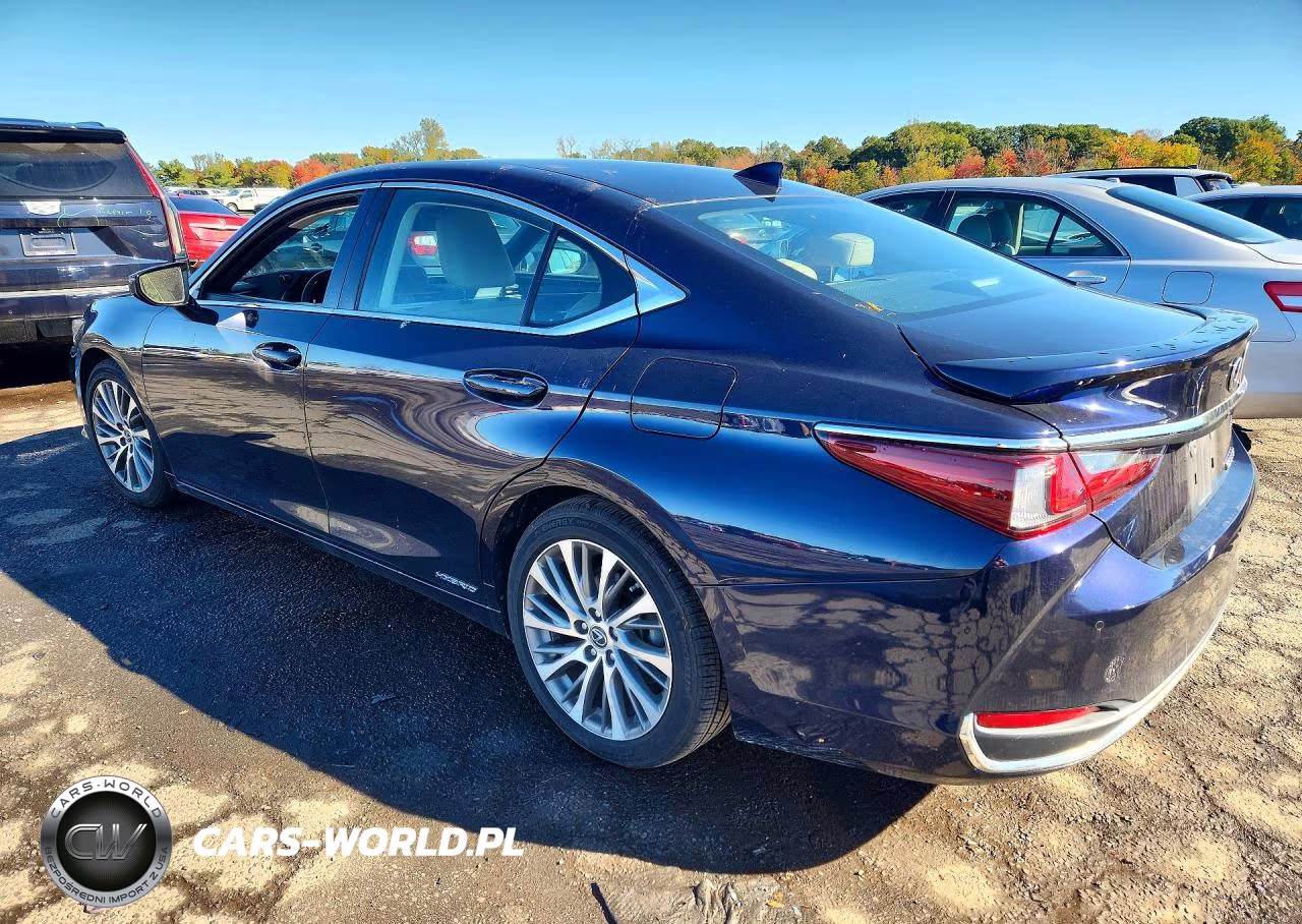 2019 Lexus Es 300H VIN:58AB21B1XKU004393 - 2