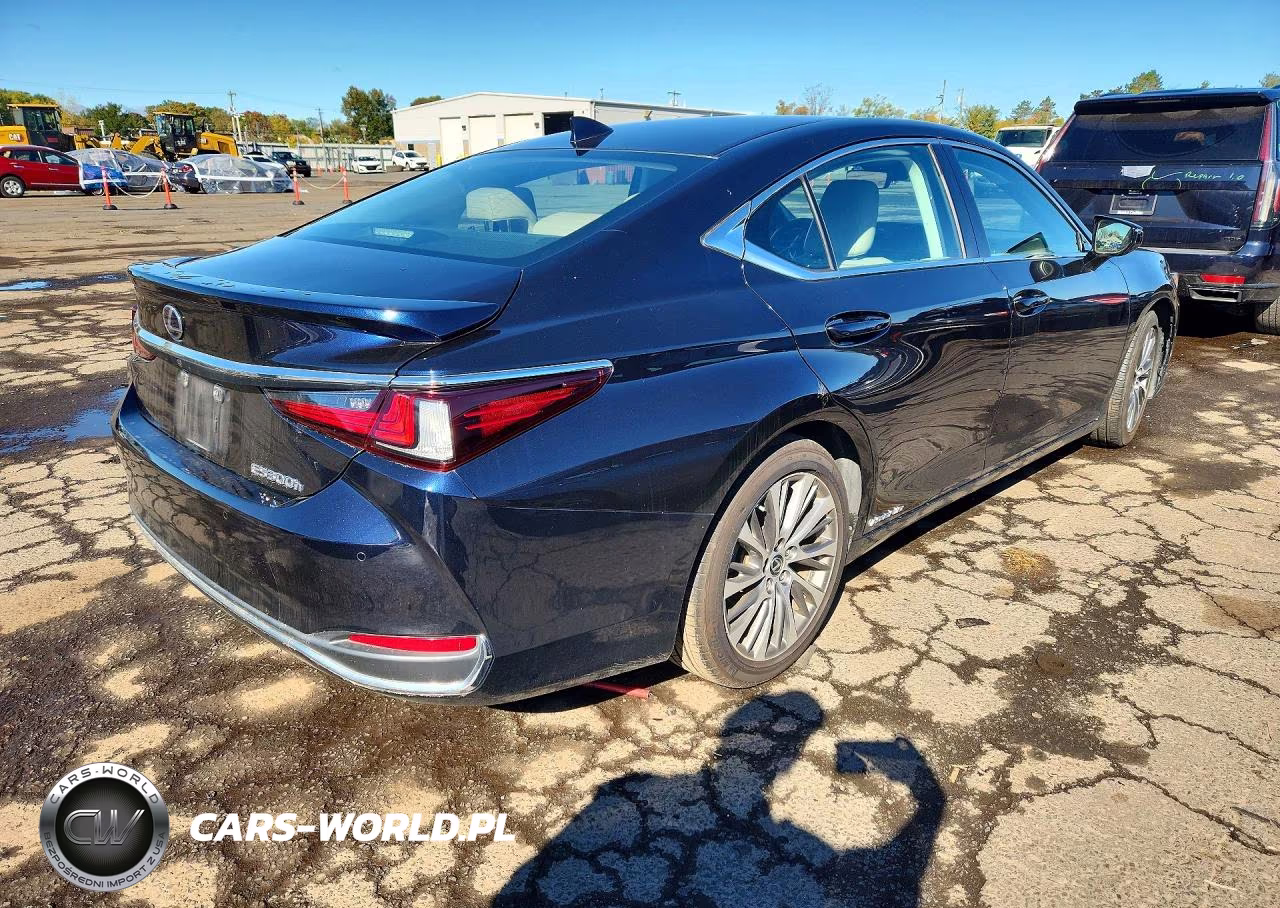 2019 Lexus Es 300H VIN:58AB21B1XKU004393 - 3