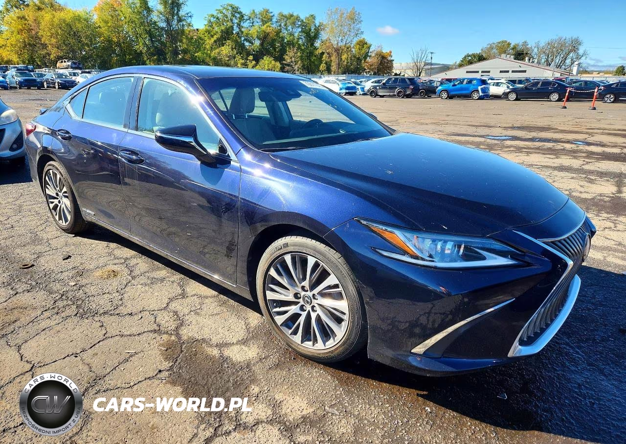 2019 Lexus Es 300H VIN:58AB21B1XKU004393 - 4
