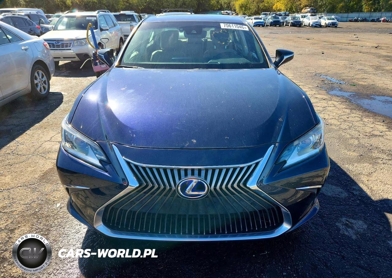 2019 Lexus Es 300H VIN:58AB21B1XKU004393 - 5