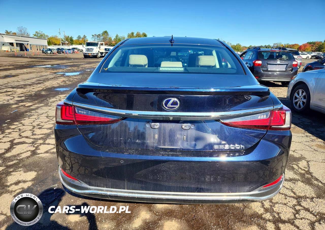 2019 Lexus Es 300H VIN:58AB21B1XKU004393 - 6