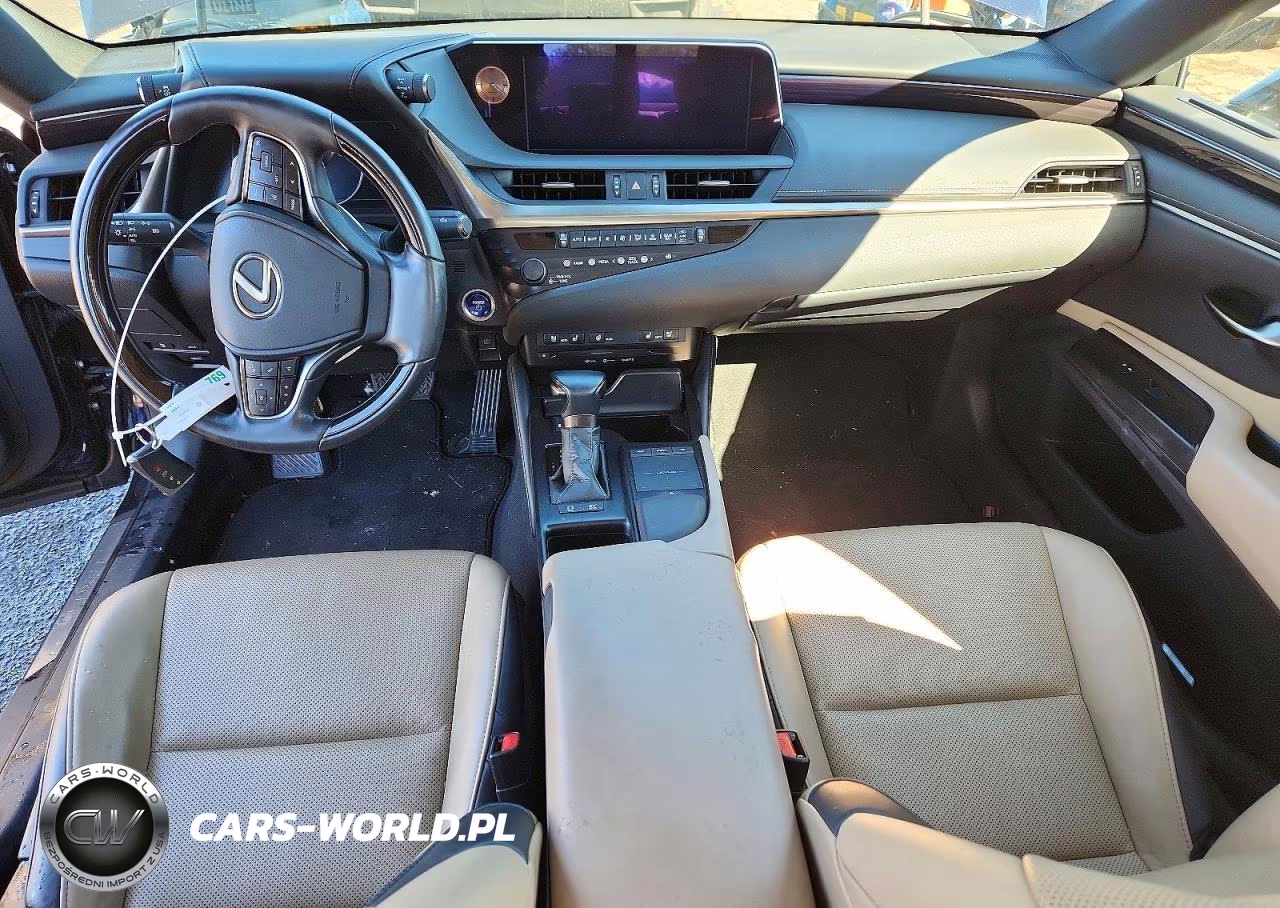 2019 Lexus Es 300H VIN:58AB21B1XKU004393 - 8