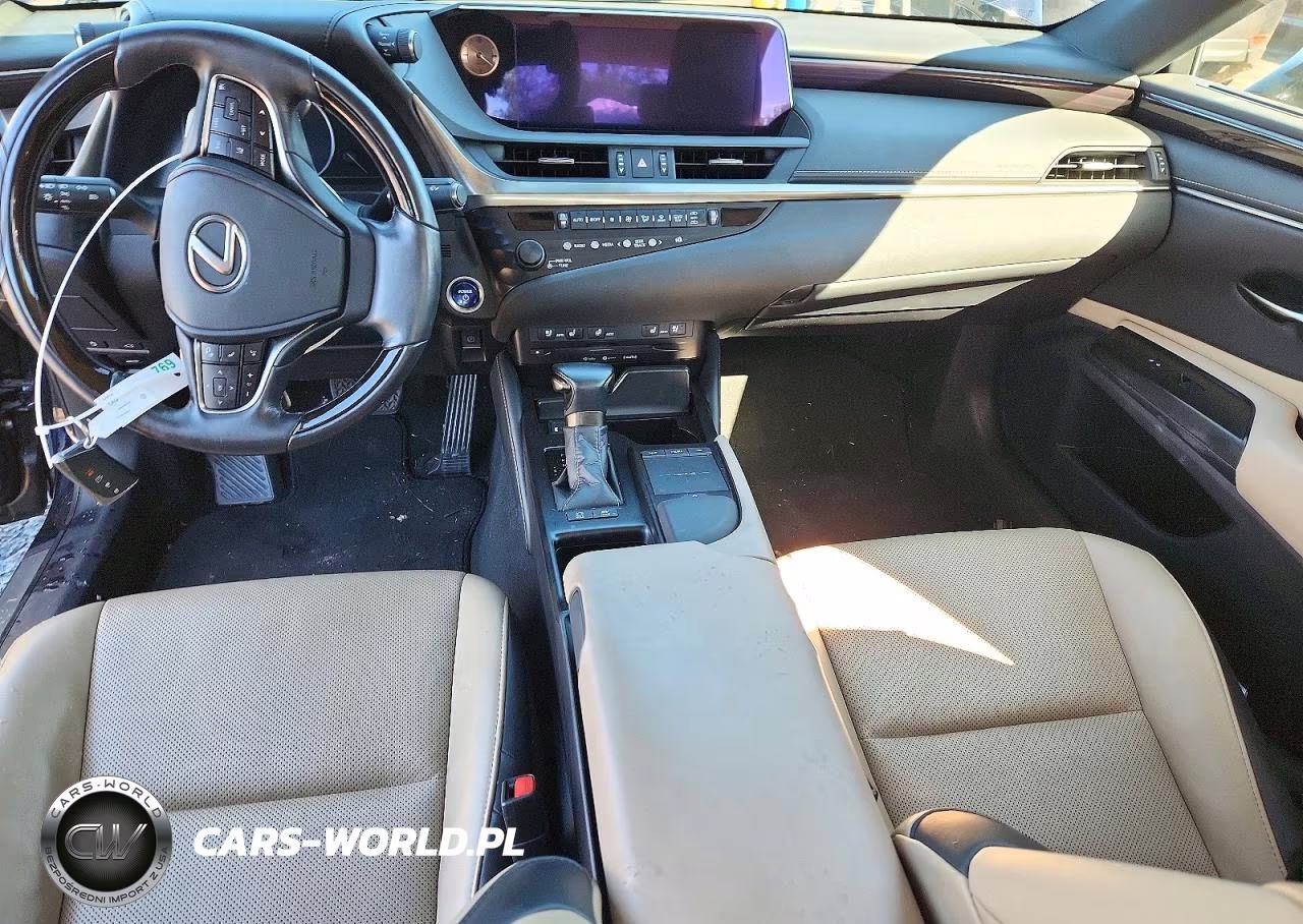 2019 Lexus Es 300H VIN:58AB21B1XKU004393 - 9