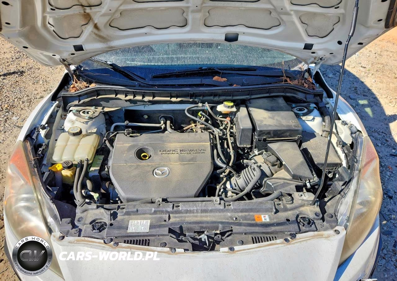2010 Mazda 3 I VIN:JM1BL1SF5A1251969 - 11