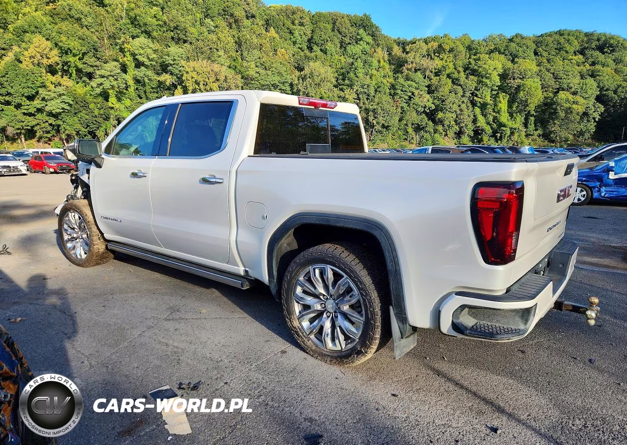 2025 GMC Sierra K1500 Denali VIN:1GTUUGEL3SZ219647 - 2