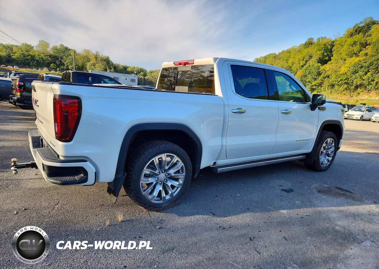 2025 GMC Sierra K1500 Denali VIN:1GTUUGEL3SZ219647 - 3