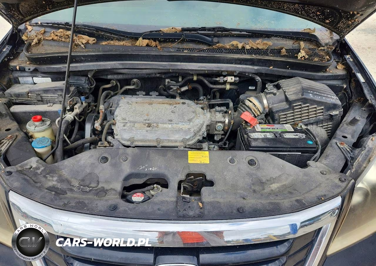 2009 Honda Odyssey Exl VIN:5FNRL386X9B000935 - 12