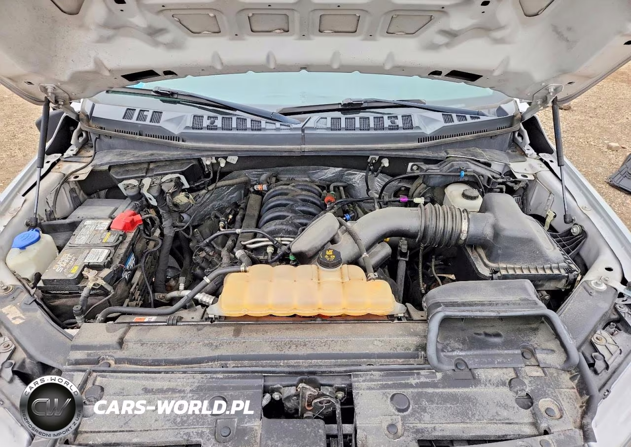 2019 Ford F150 Supercrew VIN:1FTEW1E59KFA09651 - 11
