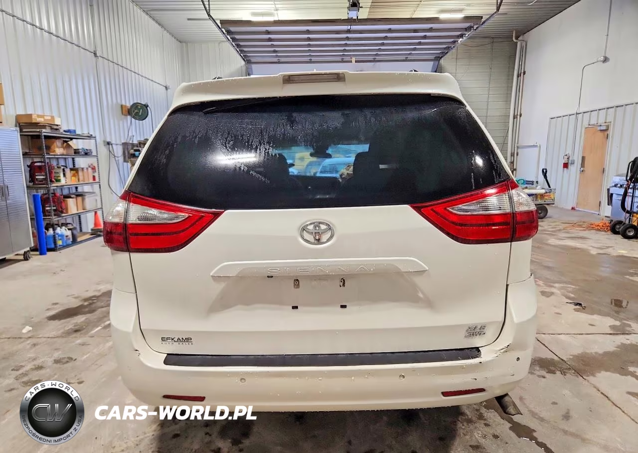 2018 Toyota Sienna Xle 7-Passenger VIN:5TDDZ3DC6JS189491 - 6