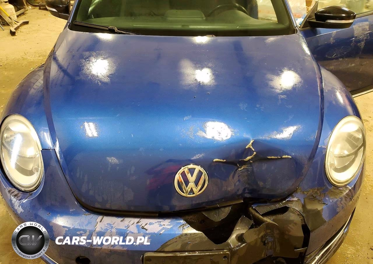 2013 Volkswagen Beetle Turbo VIN:3VWVA7AT9DM626943 - 11