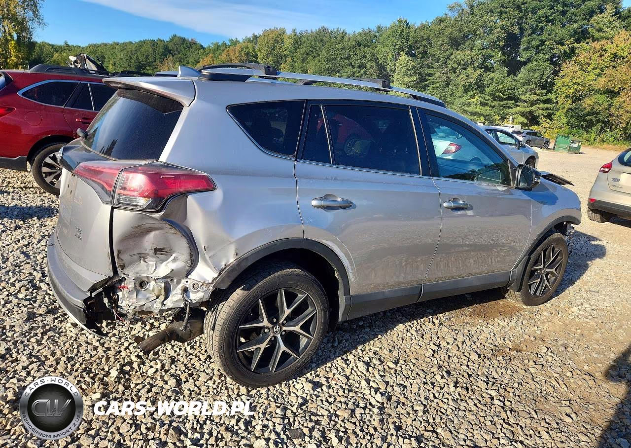 2016 Toyota Rav4 Se VIN:2T3JFREV8GW496456 - 3