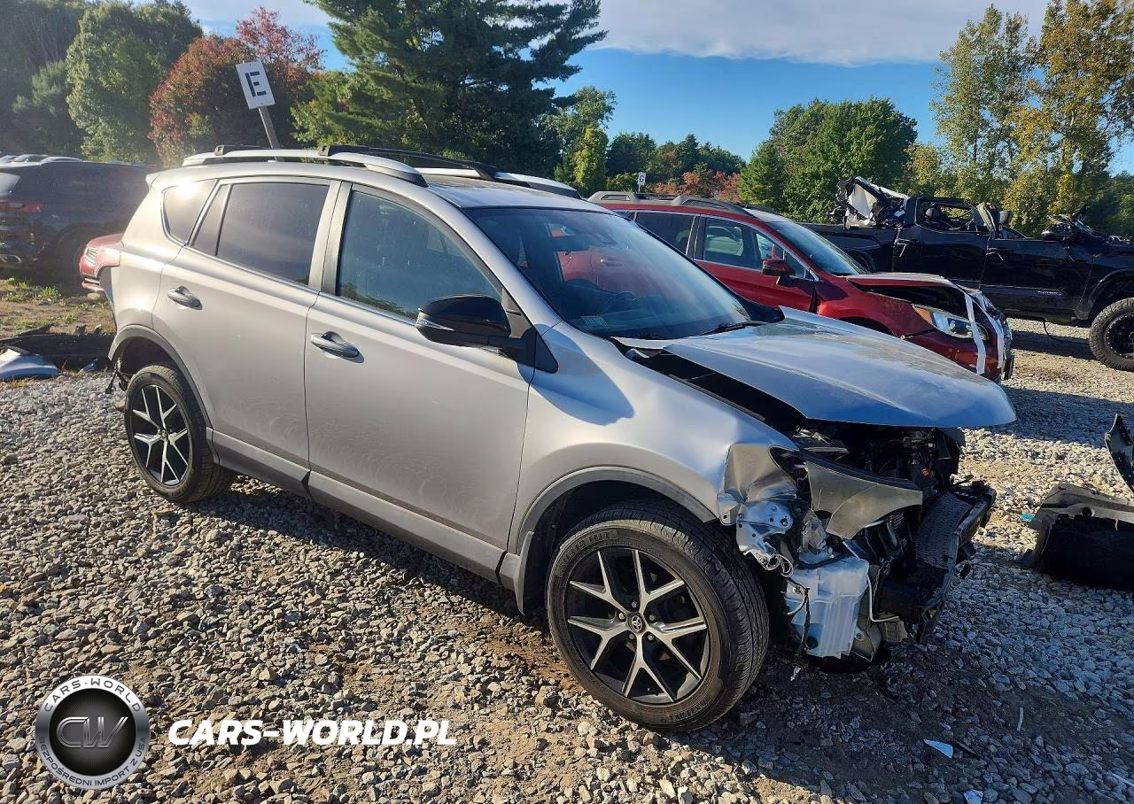 2016 Toyota Rav4 Se VIN:2T3JFREV8GW496456 - 4