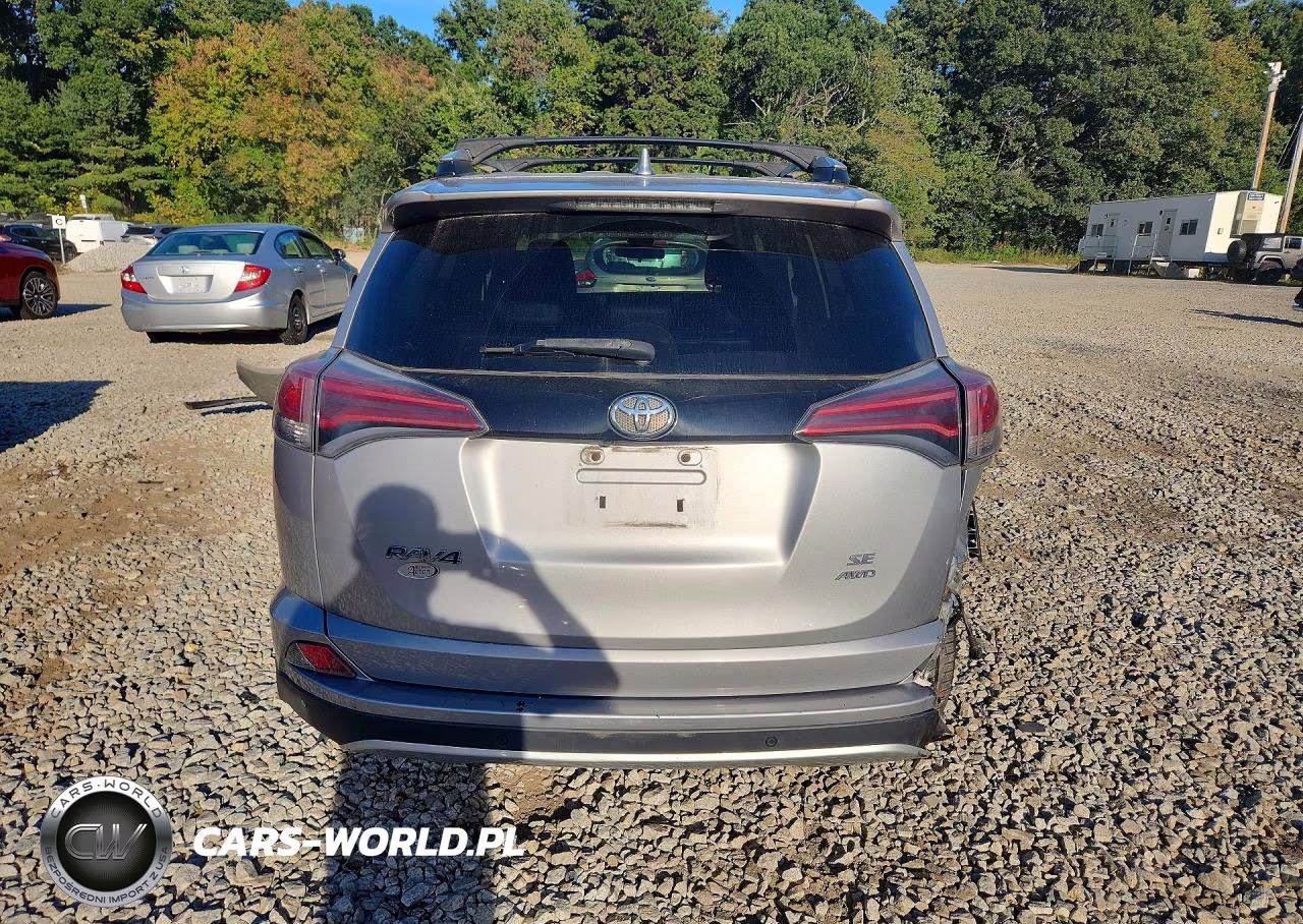 2016 Toyota Rav4 Se VIN:2T3JFREV8GW496456 - 6