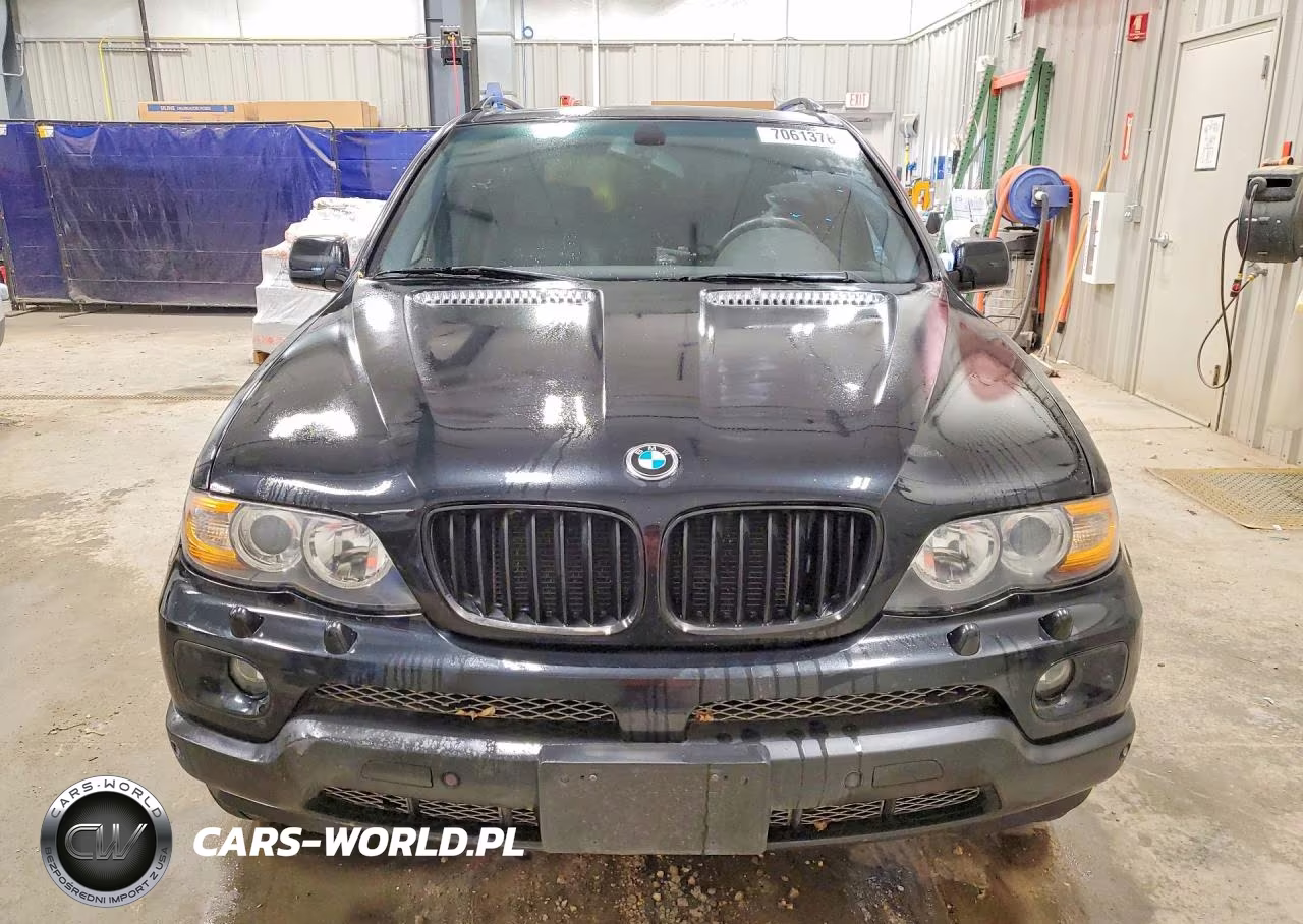 2006 BMW X5 4.4I VIN:5UXFB53526LV27150 - 5