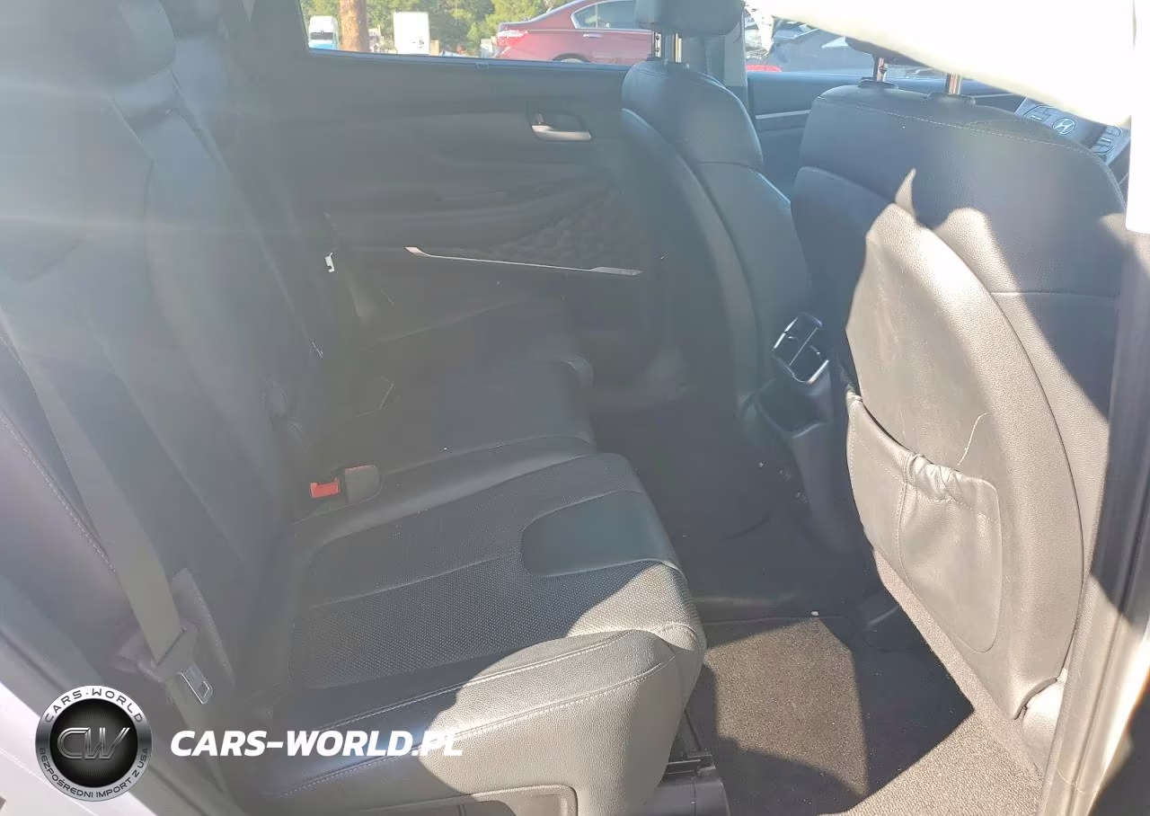 2019 Hyundai Santa Fe Limited 2.0T VIN:5NMS53AA5KH062158 - 10
