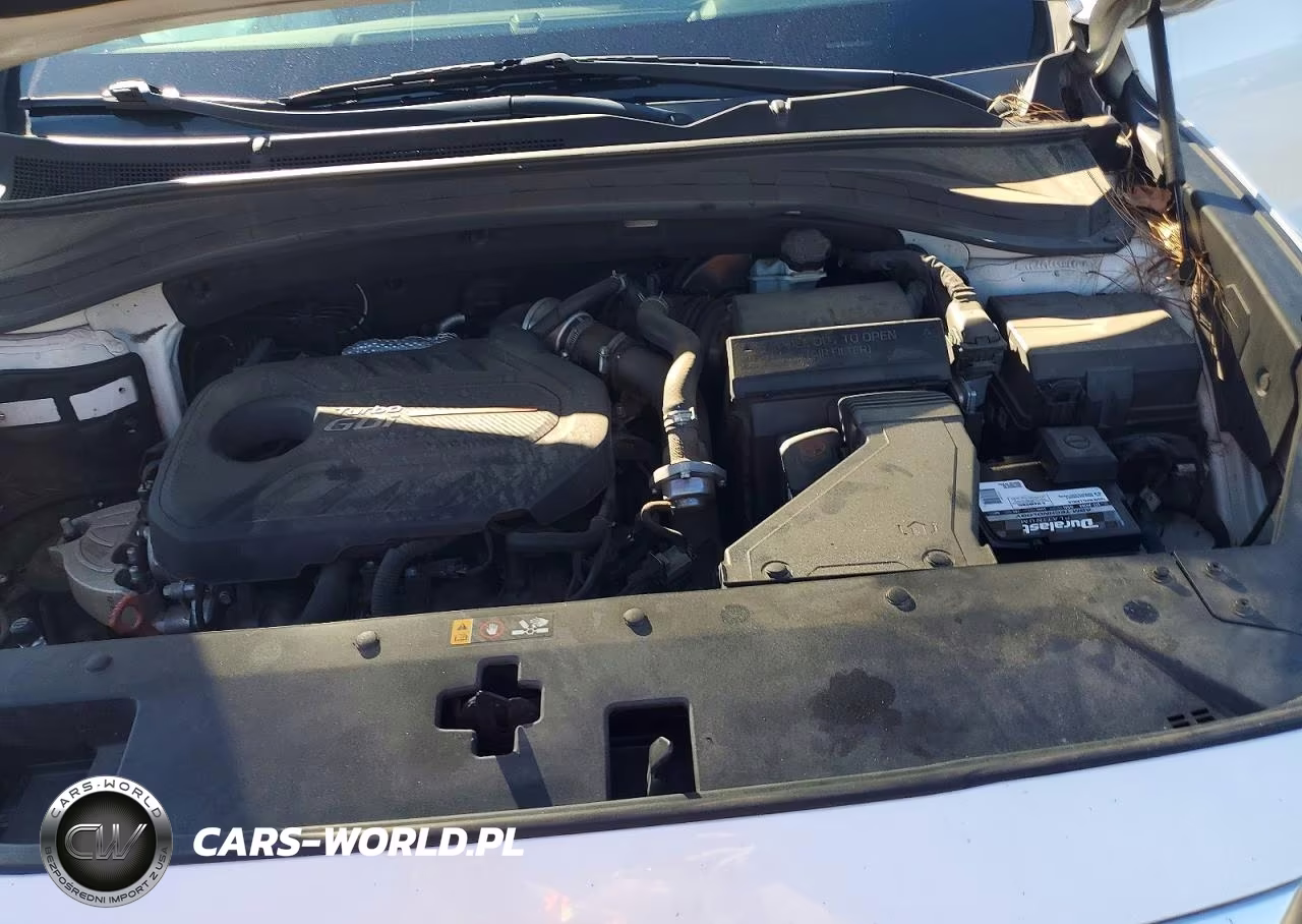 2019 Hyundai Santa Fe Limited 2.0T VIN:5NMS53AA5KH062158 - 11