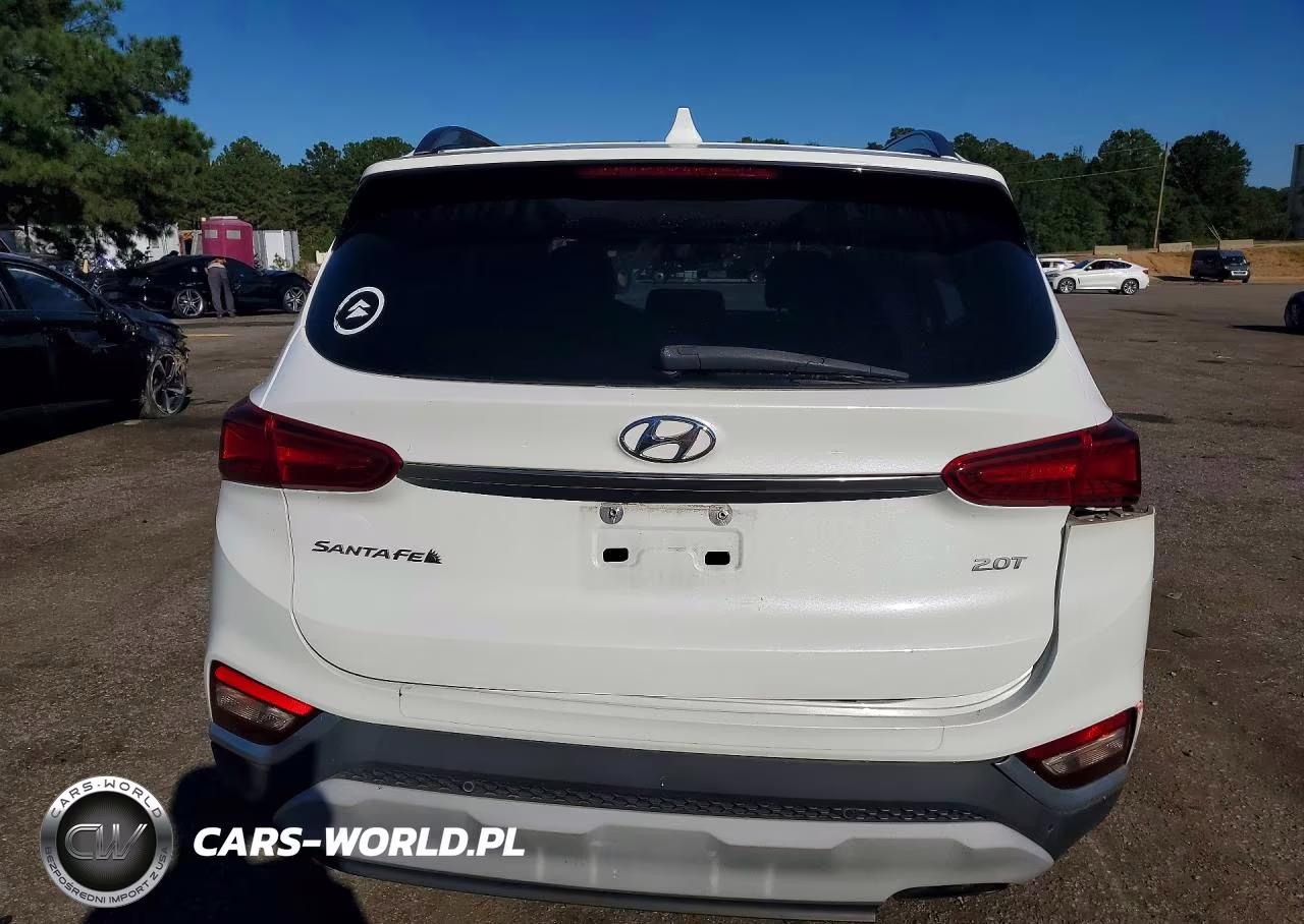 2019 Hyundai Santa Fe Limited 2.0T VIN:5NMS53AA5KH062158 - 6