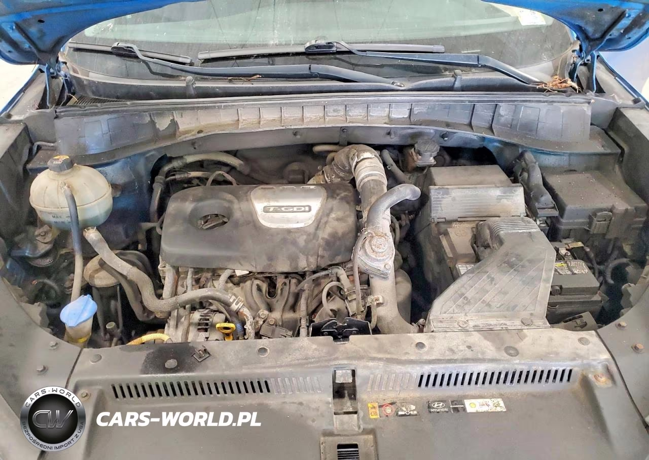 2017 Hyundai Tucson Sport VIN:KM8J3CA27HU433103 - 12
