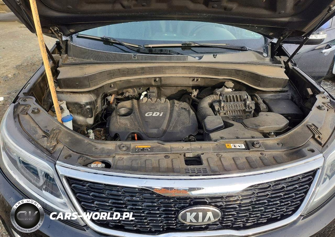 2014 Kia Sorento Lx VIN:5XYKT4A68EG485662 - 12