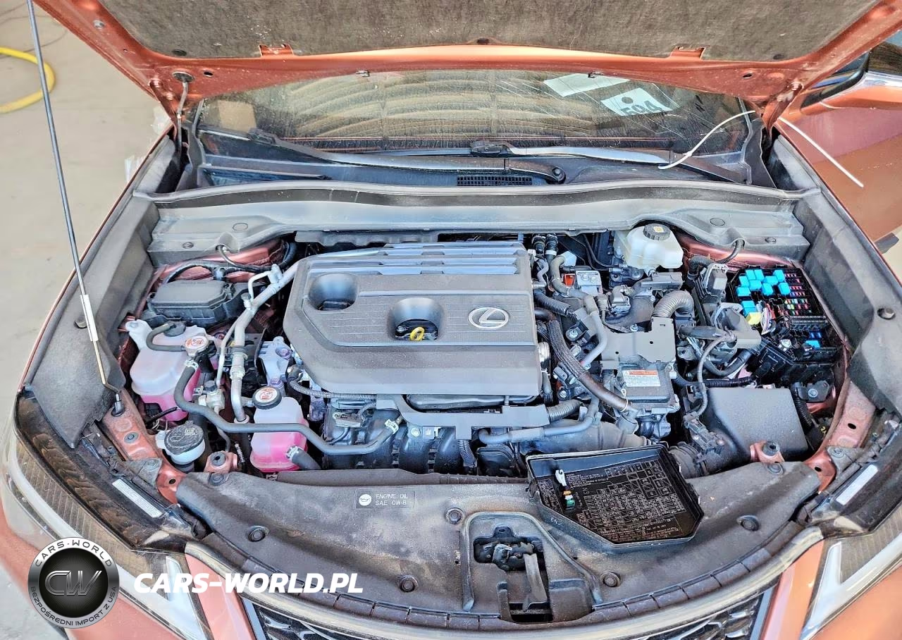 2025 Lexus Ux 300H F Sport Handling VIN:JTHYBJAH1S2013966 - 11