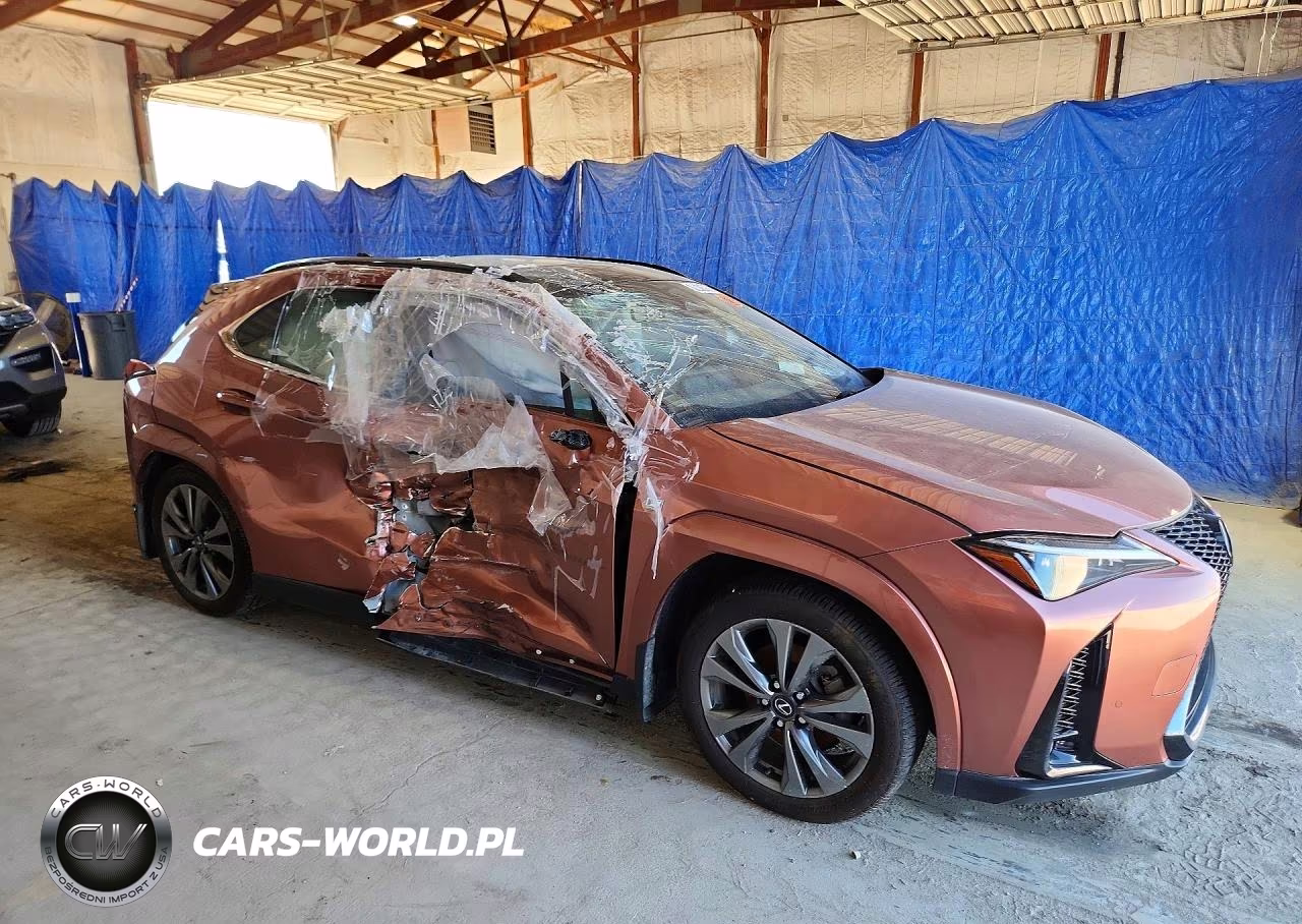 2025 Lexus Ux 300H F Sport Handling VIN:JTHYBJAH1S2013966 - 4