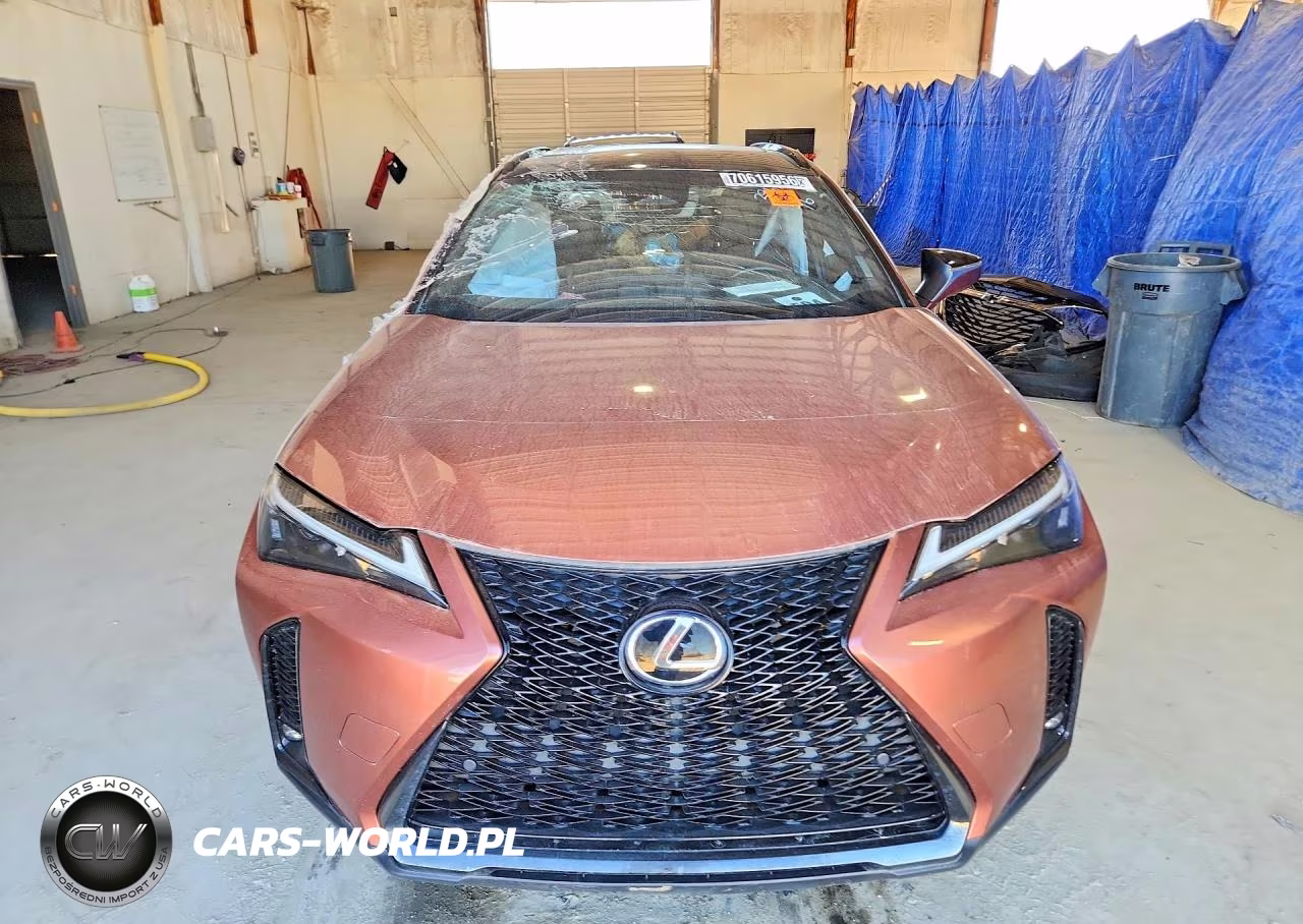 2025 Lexus Ux 300H F Sport Handling VIN:JTHYBJAH1S2013966 - 5